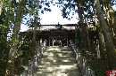 相馬中村神社石段から見上げた拝殿と杉並木