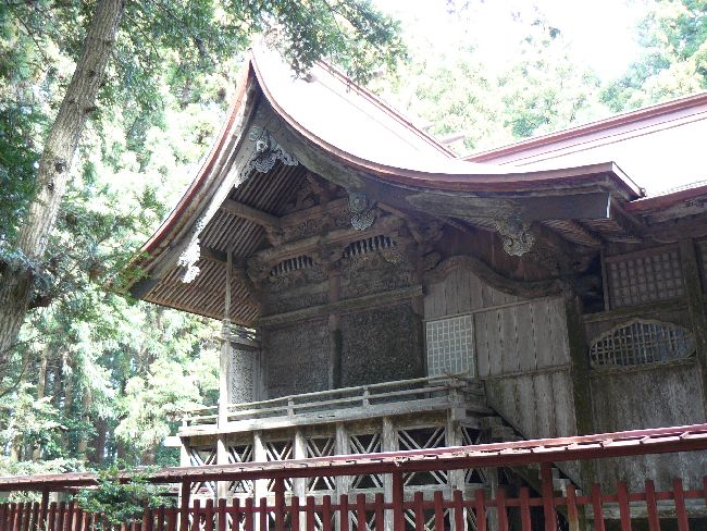 �����������_��