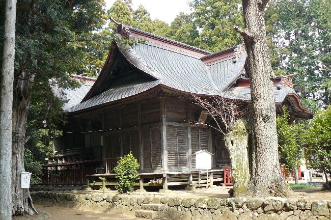 �����������_��