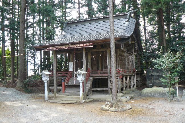 �����������_��