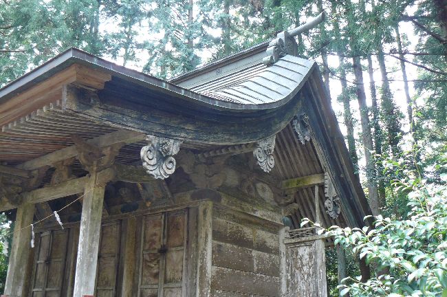 ��{�����{