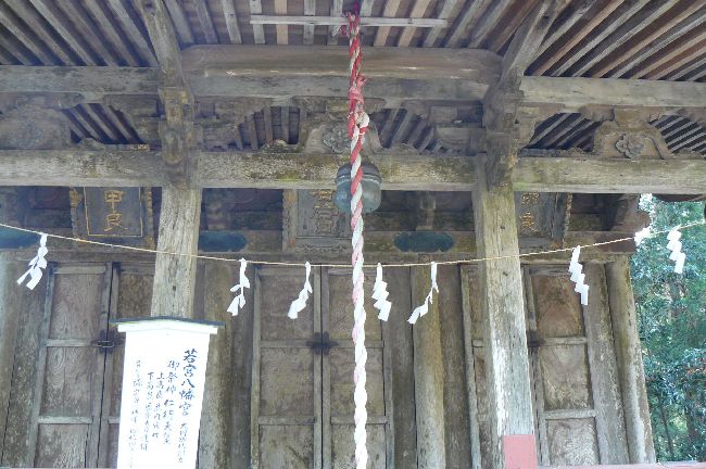 ��{�����{