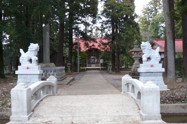 �F�ތȘC�a�C�_��