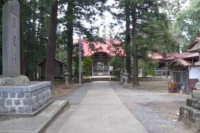 �F�ތȘC�a�C�_��