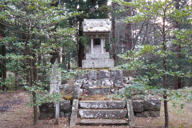 �F�ތȘC�a�C�_��