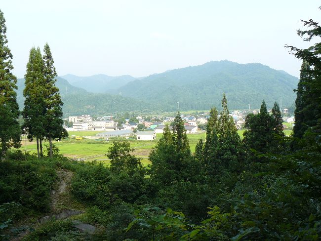 �������F������