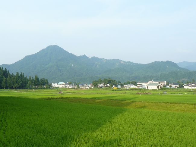 �������F������