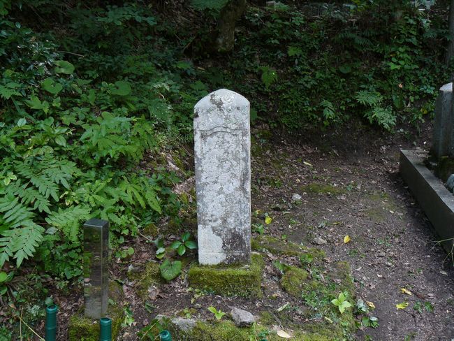 �������F�ʐ^