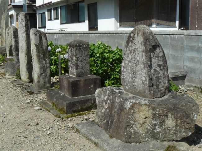 ��t���F�ʐ^