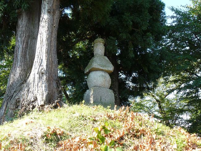 �����ƉԌ����X�_�i��Îᏼ�s�j�F�ʐ^