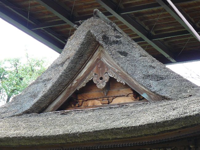 �����G�s�_�i��Îᏼ�s�j�F�ʐ^