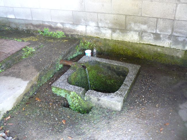 ��Îᏼ�s�F������