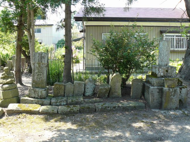 ����ω��i�������j�F�ʐ^