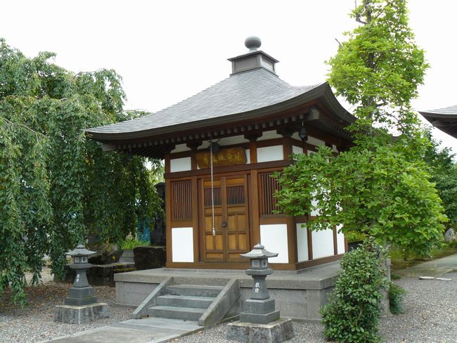 �{�����F�ʐ^