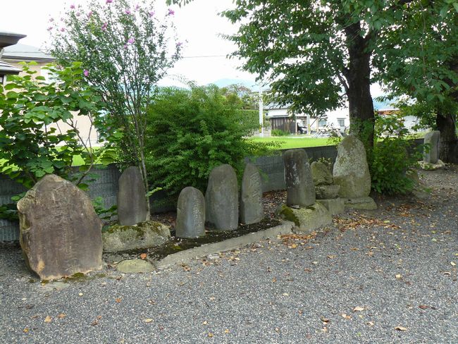 �{�����F�ʐ^