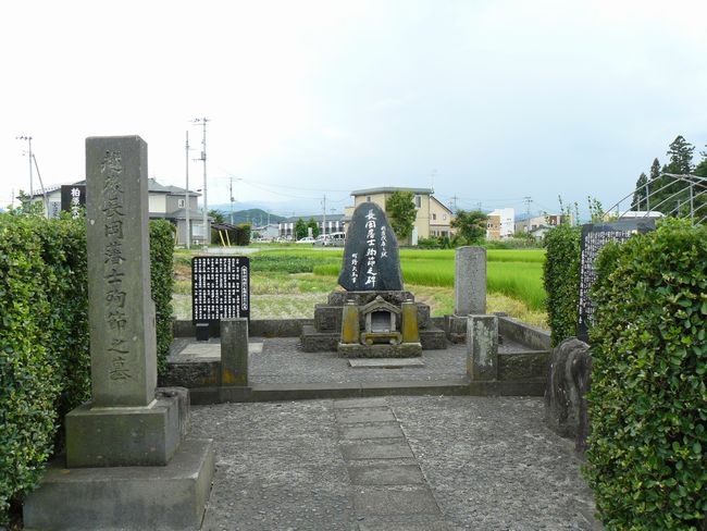 �{�����F�ʐ^