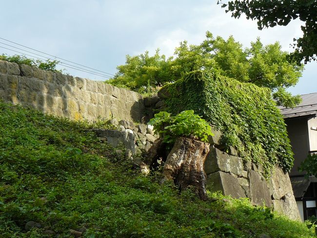 �b�꒬����i�߃���j�F�ʐ^