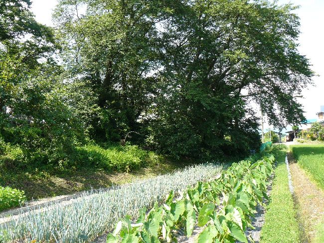 �_�w��i��Îᏼ�s�j�F�ʐ^