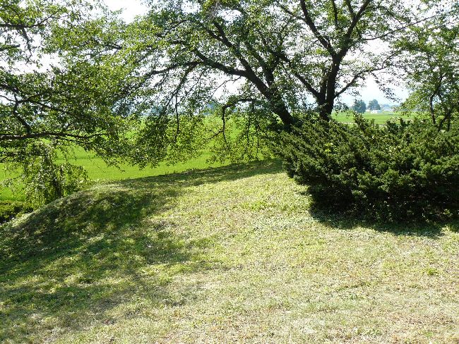 �_�w��i��Îᏼ�s�j�F�ʐ^