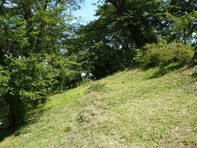 �_�w��i��Îᏼ�s�j�F�ʐ^