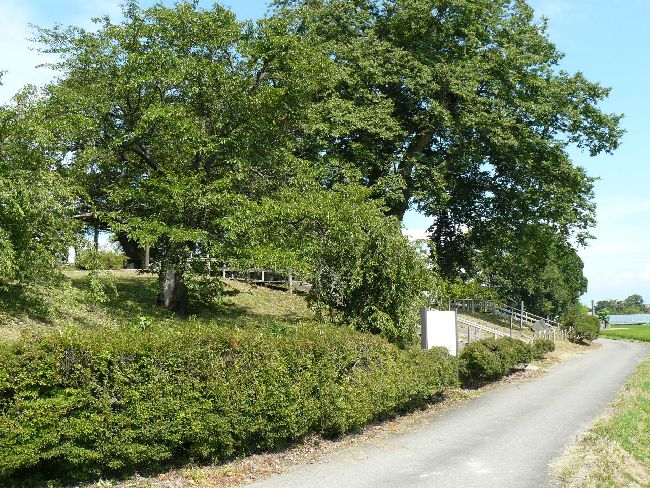 �_�w��i��Îᏼ�s�j�F�ʐ^