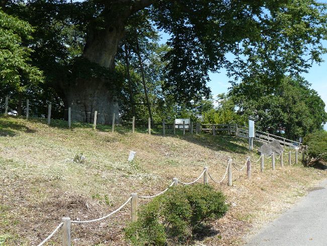 �_�w��i��Îᏼ�s�j�F�ʐ^