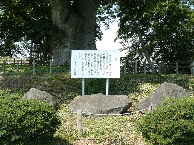 �_�w��i��Îᏼ�s�j�F�ʐ^