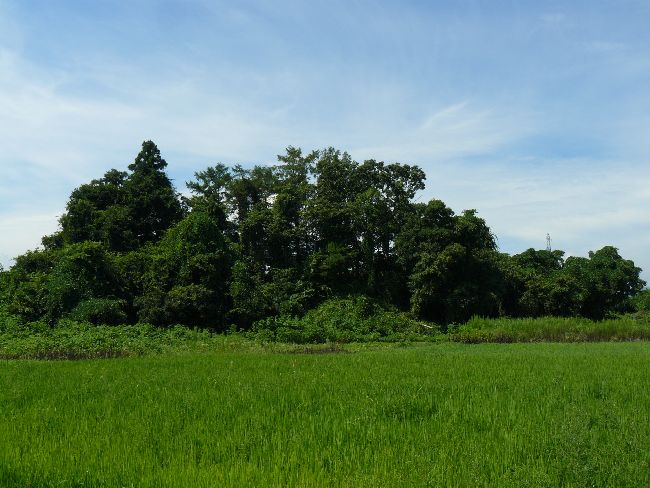 �_�w��i��Îᏼ�s�j�F�ʐ^