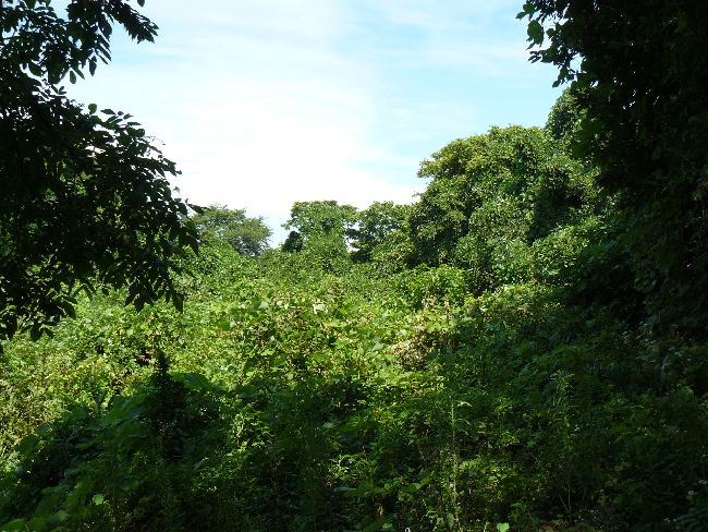 �_�w��i��Îᏼ�s�j�F�ʐ^