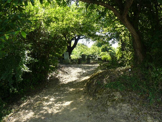 �_�w��i��Îᏼ�s�j�F�ʐ^