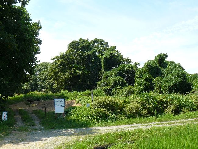 �_�w��i��Îᏼ�s�j�F�ʐ^