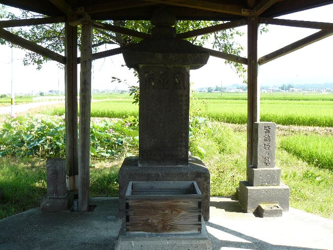 �F�ߕP�̔�Q�i��Îᏼ�s�j�F�ʐ^