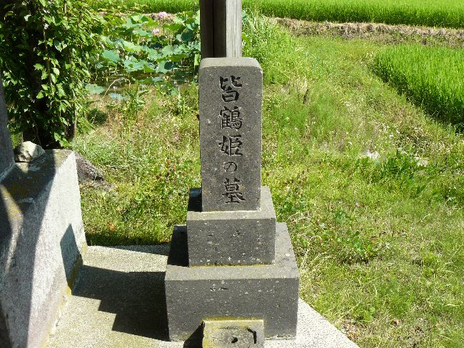 �F�ߕP�̔�Q�i��Îᏼ�s�j�F�ʐ^