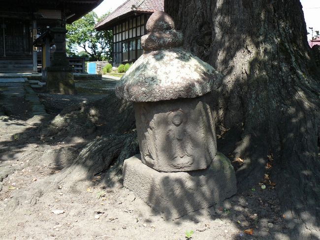 ���m���ω��i�����@�j�F�ʐ^