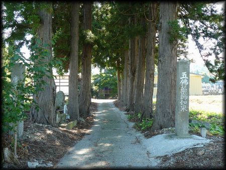 �쎛��t�i�������j