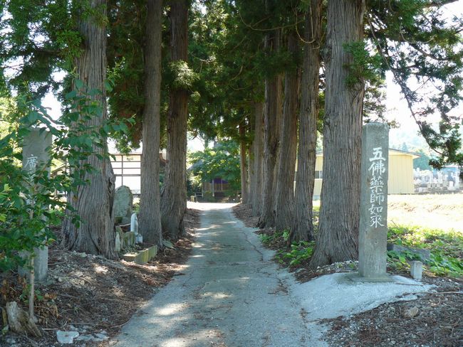 �쎛��t�i�������j�F�ʐ^