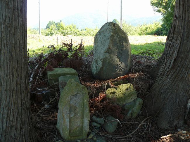 �쎛��t�i�������j�F�ʐ^