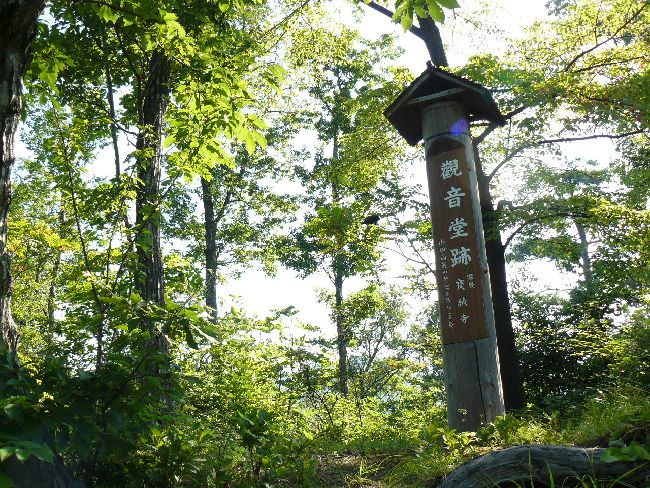 ���c�R�i��Îᏼ�s�j�F�ʐ^