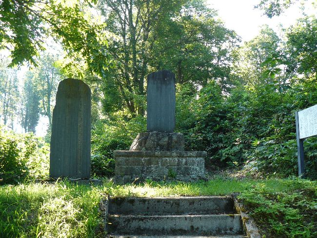 ���c�R�i��Îᏼ�s�j�F�ʐ^