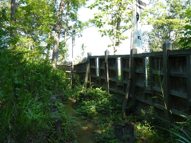 ���c�R��i��Îᏼ�s�j�F�ʐ^