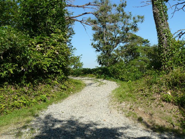 ���c�R��i��Îᏼ�s�j�F�ʐ^