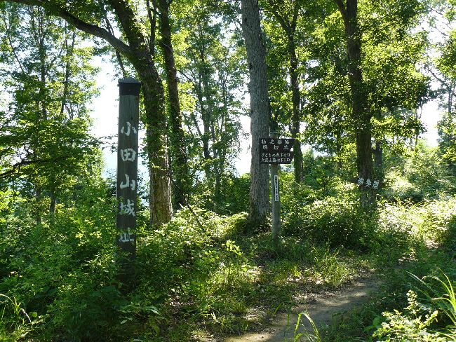 ���c�R��i��Îᏼ�s�j�F�ʐ^