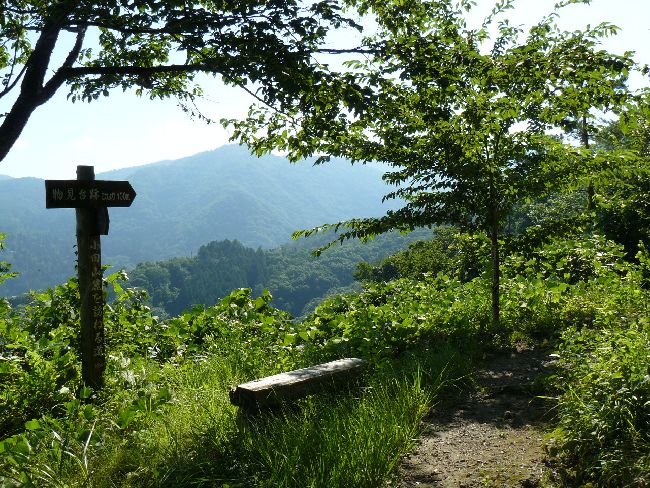 ���c�R��i��Îᏼ�s�j�F�ʐ^