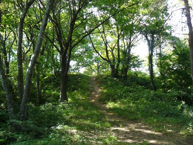 ��ˎR�Õ��i��Îᏼ�s�j�F�ʐ^