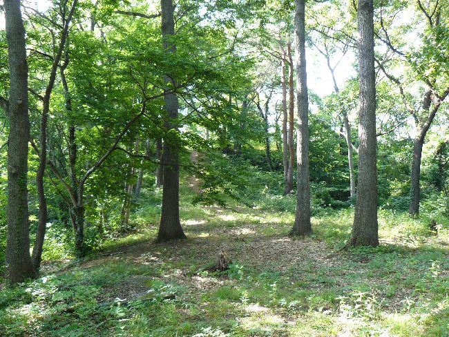 ��ˎR�Õ��i��Îᏼ�s�j�F�ʐ^