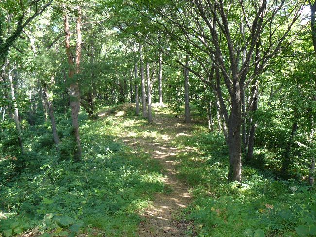 ��ˎR�Õ��i��Îᏼ�s�j�F�ʐ^