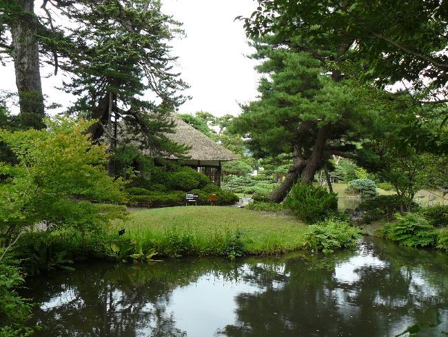 ��򉀁i��Îᏼ�s�j�F�ʐ^