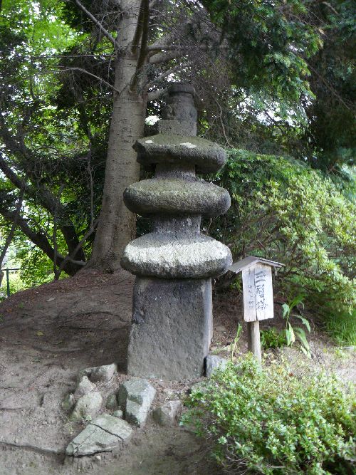 ��򉀁i��Îᏼ�s�j�F�ʐ^