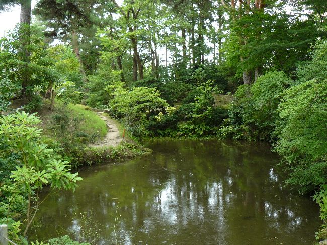 ��򉀁i��Îᏼ�s�j�F�ʐ^