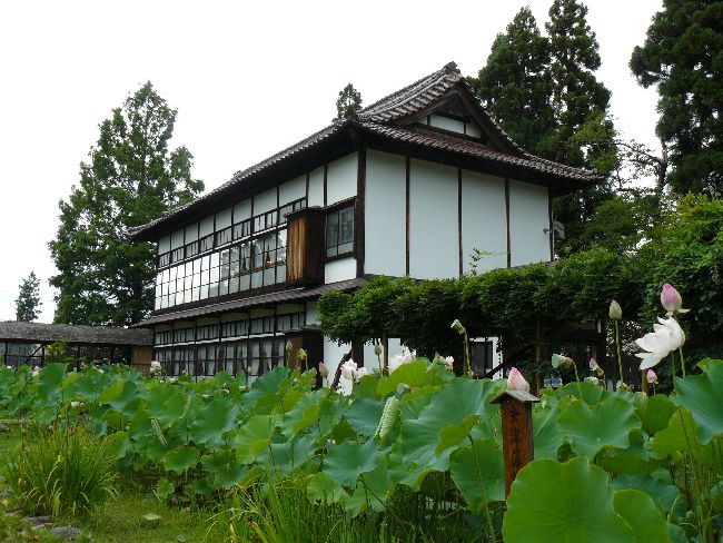 ��򉀁i��Îᏼ�s�j�F�ʐ^